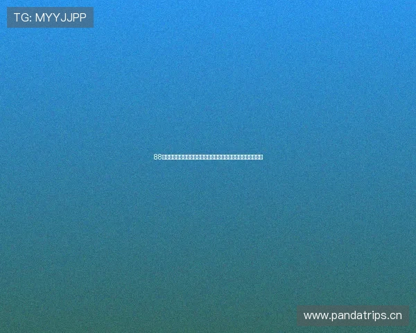 88看球无插件直播高清流畅赛事在线观看平台推荐全网热门体育资源 88看球无插件直播高清流畅赛事在线观看平台推荐全网热门体育资源